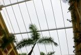 Retractable awning at Hotel Charleston, Columbia