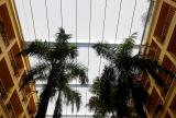 Retractable awning at Hotel Charleston, Columbia